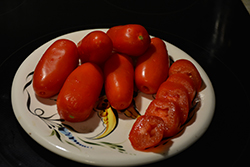 Health Kick Tomato (Solanum lycopersicum 'Health Kick') at Mainescape Nursery