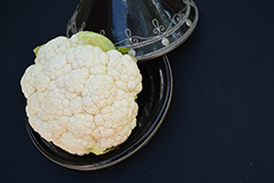 Cauliflower (Brassica oleracea var. botrytis) at Mainescape Nursery